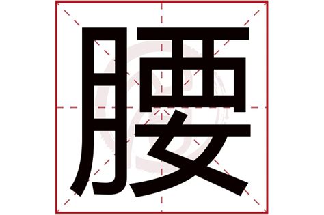 腰的造詞|腰造詞，腰字的造詞